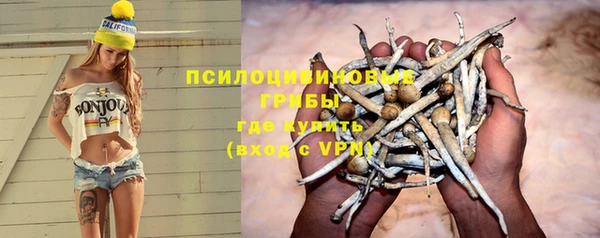 эйфоретик Абаза