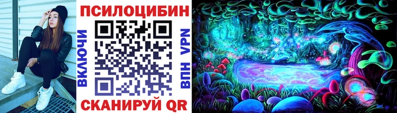 даркнет как зайти  Исилькуль  Псилоцибиновые грибы GOLDEN TEACHER  что такое наркотик 